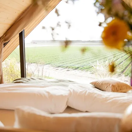 Nyaraló Ecohome Storm 8personen En Baby Zeezand Recreatie