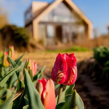 Ecohome Storm 8personen En Baby Zeezand Recreatie