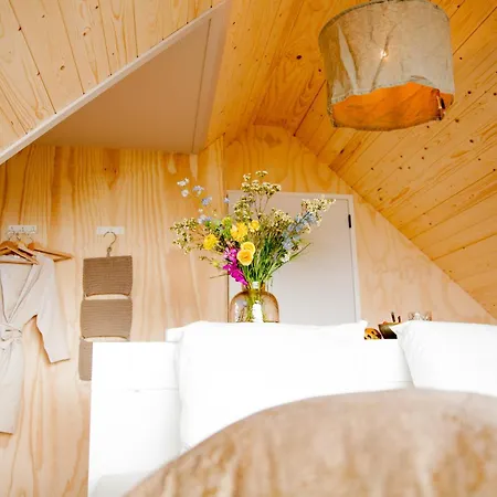 Ecohome Storm 8personen En Baby Zeezand Recreatie * 't Zand