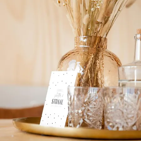 Ecohome Storm 8personen En Baby Zeezand Recreatie *