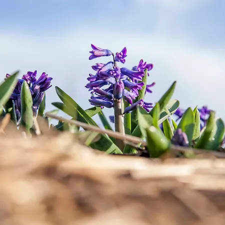 Ecohome Storm 8personen En Baby Zeezand Recreatie