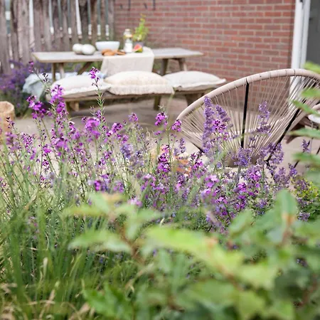 Ecohome Storm 8personen En Baby Zeezand Recreatie Prázdninový dům *