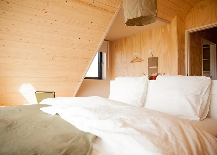 Ecohome Storm 8personen En Baby Zeezand Recreatie * 't Zand