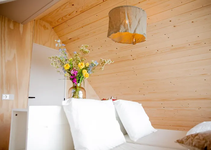 Ecohome Storm 8personen En Baby Zeezand Recreatie Casa vacanze