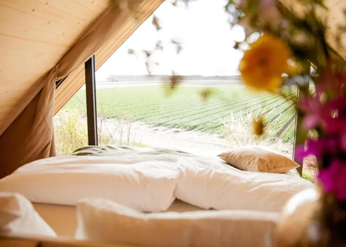 Casa vacanze Ecohome Storm 8personen En Baby Zeezand Recreatie