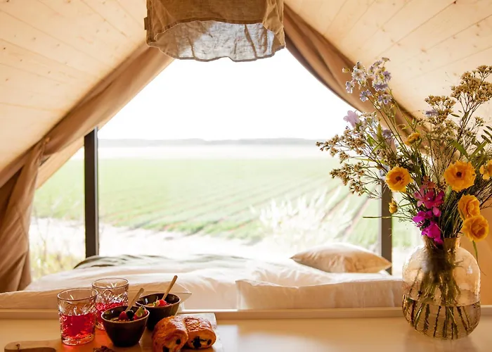 Ecohome Storm 8personen En Baby Zeezand Recreatie Casa vacanze *