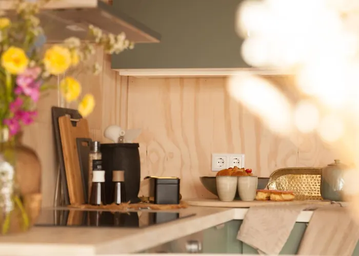 Ecohome Storm 8personen En Baby Zeezand Recreatie * 't Zand