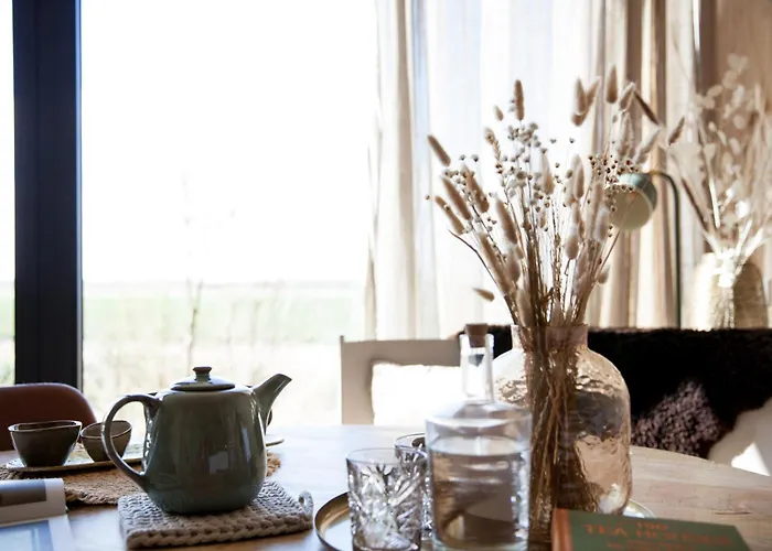 Ecohome Storm 8personen En Baby Zeezand Recreatie Casa vacanze 't Zand