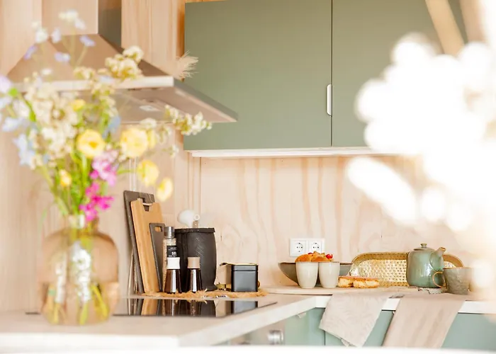 Ecohome Storm 8personen En Baby Zeezand Recreatie * 't Zand