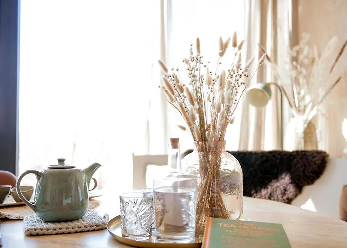 Casa vacanze Ecohome Storm 8personen En Baby Zeezand Recreatie 't Zand