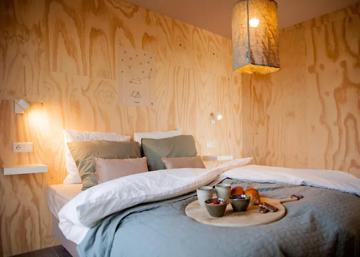 Ecohome Storm 8personen En Baby Zeezand Recreatie