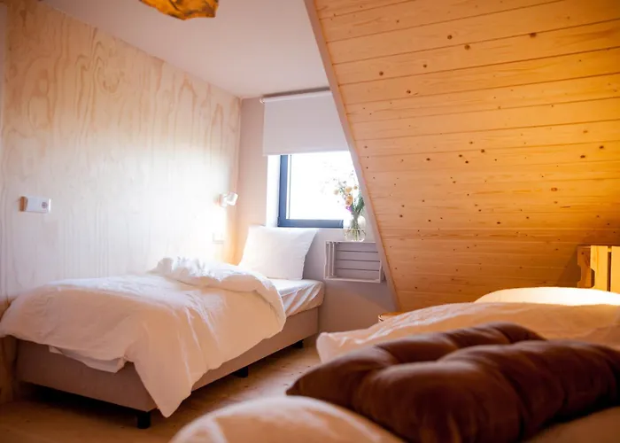 Casa vacanze Ecohome Storm 8personen En Baby Zeezand Recreatie 't Zand