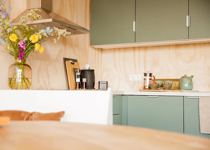 Ecohome Storm 8personen En Baby Zeezand Recreatie Casa vacanze