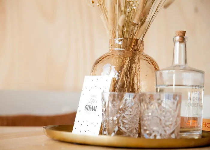 Ecohome Storm 8personen En Baby Zeezand Recreatie *