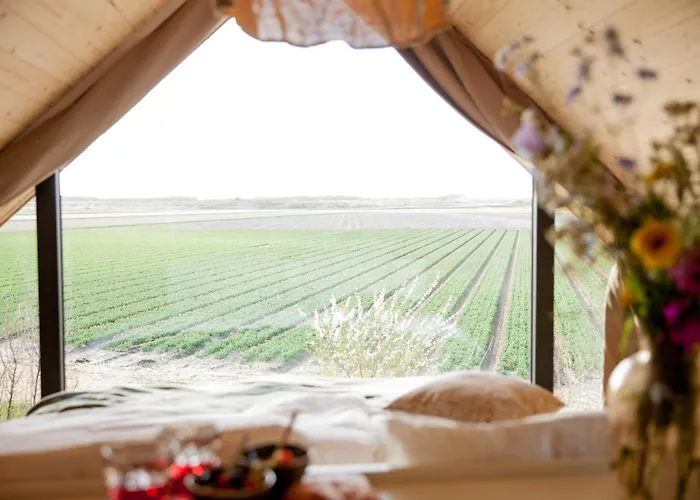 Ecohome Storm 8personen En Baby Zeezand Recreatie