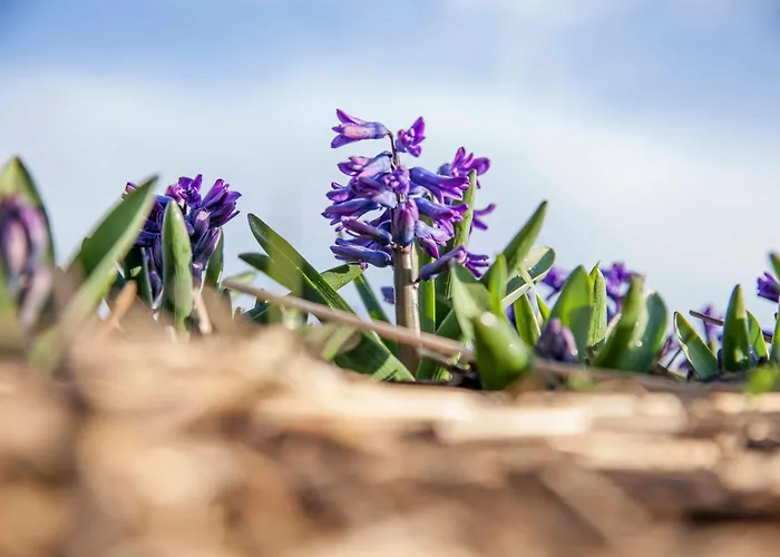 Ecohome Storm 8personen En Baby Zeezand Recreatie