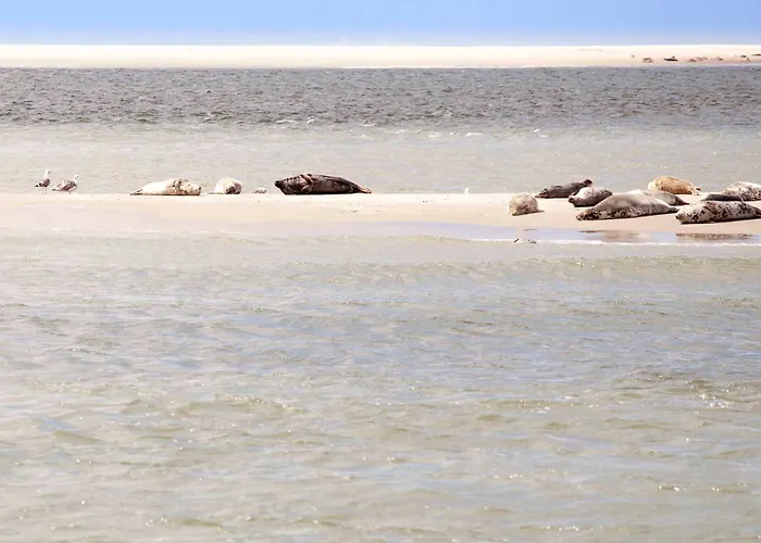 Ecohome Storm 8personen En Baby Zeezand Recreatie