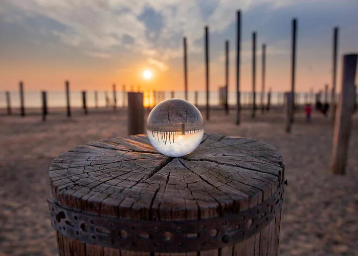 Casa vacanze Ecohome Storm 8personen En Baby Zeezand Recreatie *