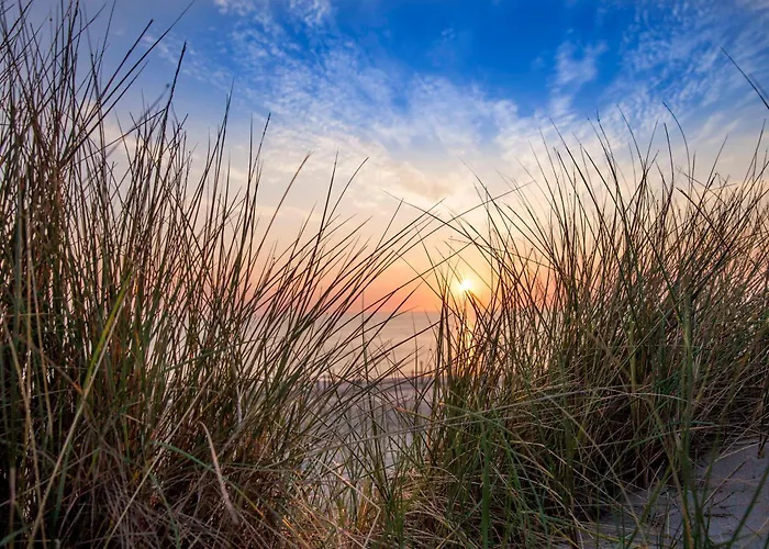 Ecohome Storm 8personen En Baby Zeezand Recreatie