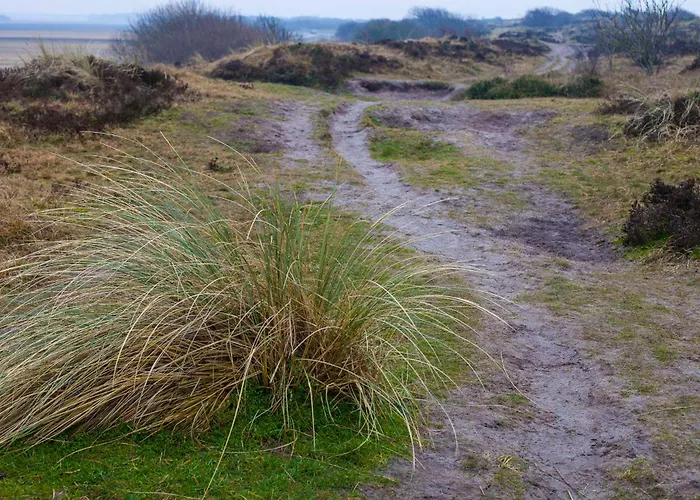 Ecohome Storm 8personen En Baby Zeezand Recreatie * 't Zand