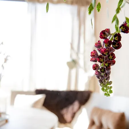 בית נופש Ecohome Storm 8personen En Baby Zeezand Recreatie