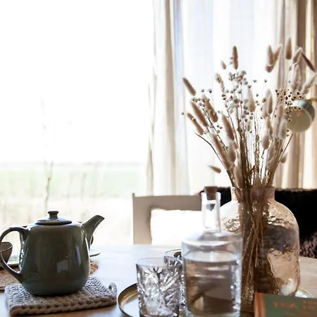 Ecohome Storm 8personen En Baby Zeezand Recreatie בית נופש ט-זנד