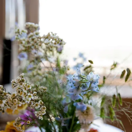 Ecohome Storm 8personen En Baby Zeezand Recreatie * ט-זנד