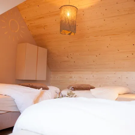 Ecohome Storm 8personen En Baby Zeezand Recreatie