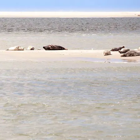 Ecohome Storm 8personen En Baby Zeezand Recreatie