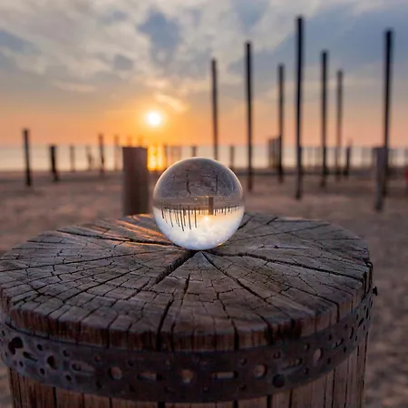 בית נופש Ecohome Storm 8personen En Baby Zeezand Recreatie *