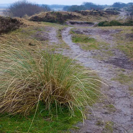 Ecohome Storm 8personen En Baby Zeezand Recreatie * ט-זנד